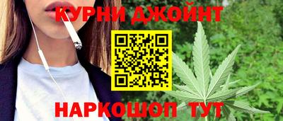 гидра Будённовск