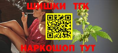 гидра Будённовск