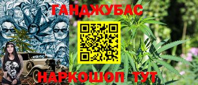 гидра Будённовск