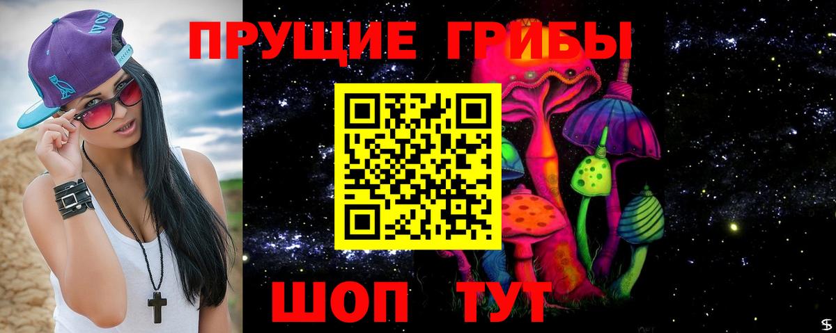Галлюциногенные грибы Cubensis Чебоксары